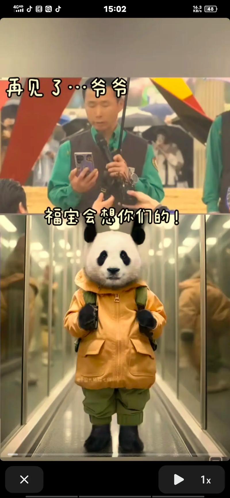 免费资料-资料大全和4旅日大熊猫将回国与旅日20年熊猫将回国 视频