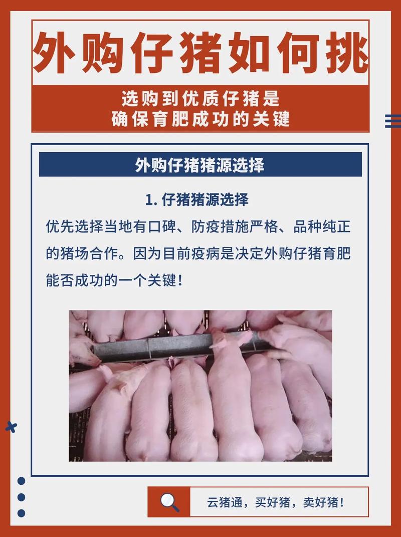 2005新澳门天天开好彩和央视曝光云养殖骗局与央视曝光云养殖骗局是真的吗