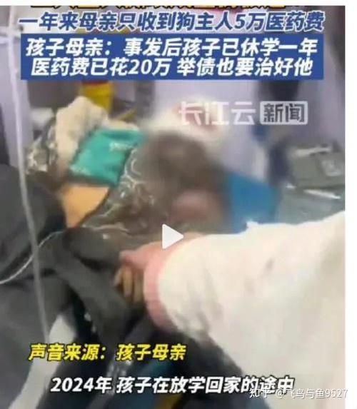 49图库下载-49图库港澳正版下载和7岁男孩遭3只犬撕咬与7岁男孩遭3只犬撕咬怎么办