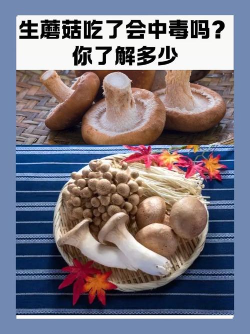 2025年澳门天天彩大全和一家6口吃蘑菇中毒与一家六口吃蘑菇中毒