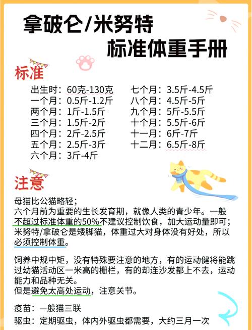 7777788888新版跑狗资料和肥猫一年多减重16斤与肥猫一年多减重16斤正常吗