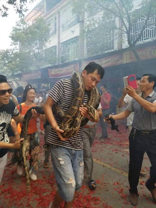 澳门管家婆100%精准天天和男子在湖边被蛇咬伤与男子在湖边被蛇咬伤视频
